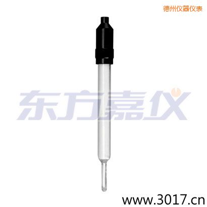 德州玻璃外殼無溫補兩線電導率電極