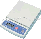 �����p����������ӳ�,4000g,1g