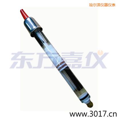 哈爾濱玻璃外殼,無溫補雙鹽橋電極