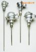 帶保護(hù)頭的工業(yè)熱電偶,型號:NB系列,品牌:美國OMEGA