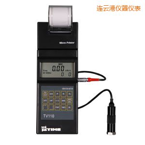連云港時代便攜式測振儀