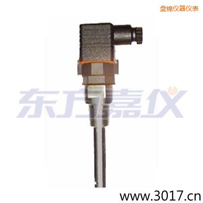 盤錦含有溫度的兩線電導(dǎo)率電極