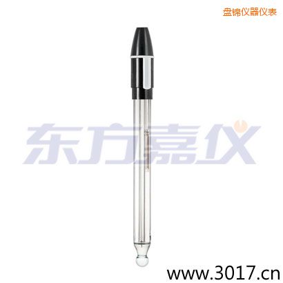 盤錦玻璃外殼可填充雙鹽橋復合電極