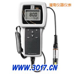 渭南便攜式溶解氧測量儀