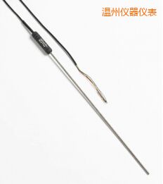 溫州高性能金屬桿標(biāo)準(zhǔn)鉑電阻溫度計