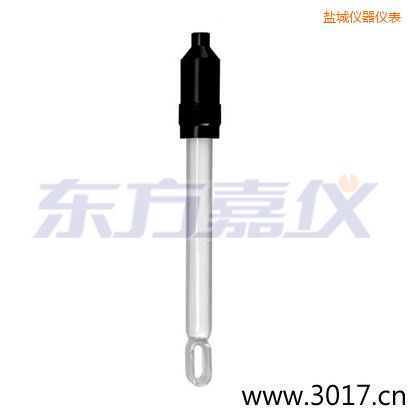 鹽城玻璃外殼無溫補兩線電導率電極