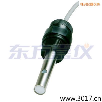 株洲含有溫度兩線電導(dǎo)率電極