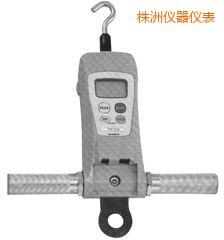 株洲高荷重型 FGC-HB/FGN-HB 系列數(shù)顯推拉力計(jì)