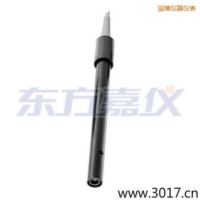 淄博含有溫度的兩線電導(dǎo)率電極